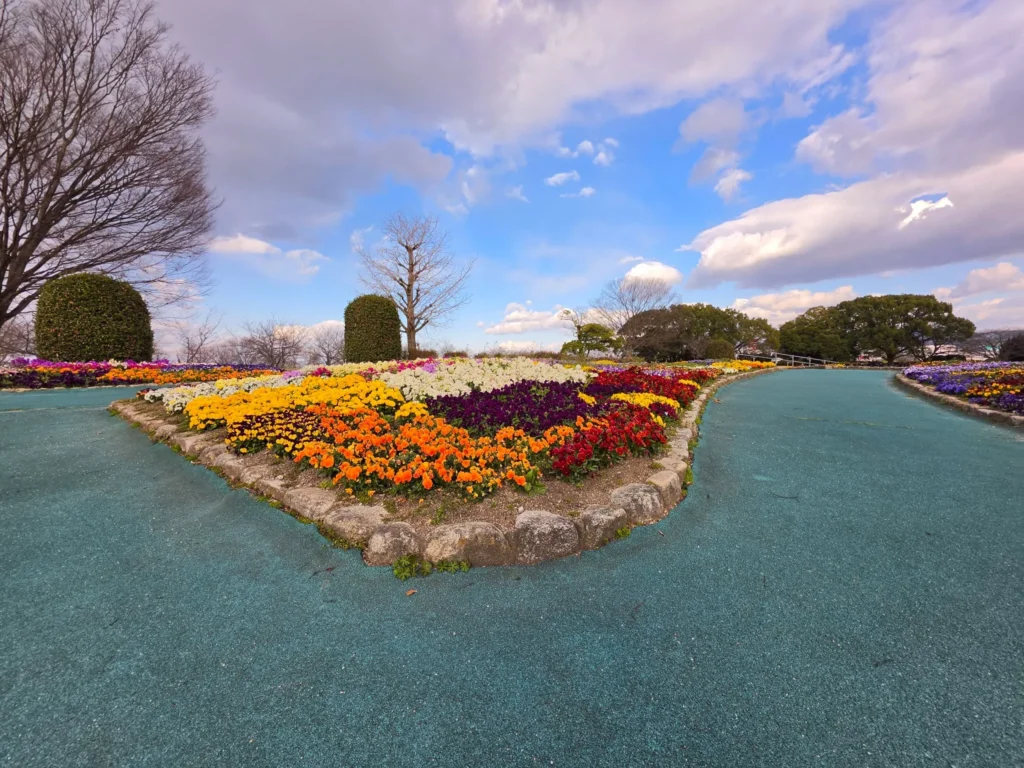 Galaxy S26 Ultra 超広角レンズ